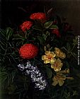 Allemanda, Ixora and Orchids by Johan Laurentz Jensen